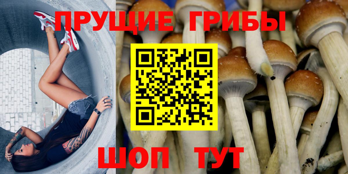 Удомля  Псилоцибиновые грибы Psilocybine cubensis  Вход с VPN  Псилоцибиновые грибы MAGIC MUSHROOMS 